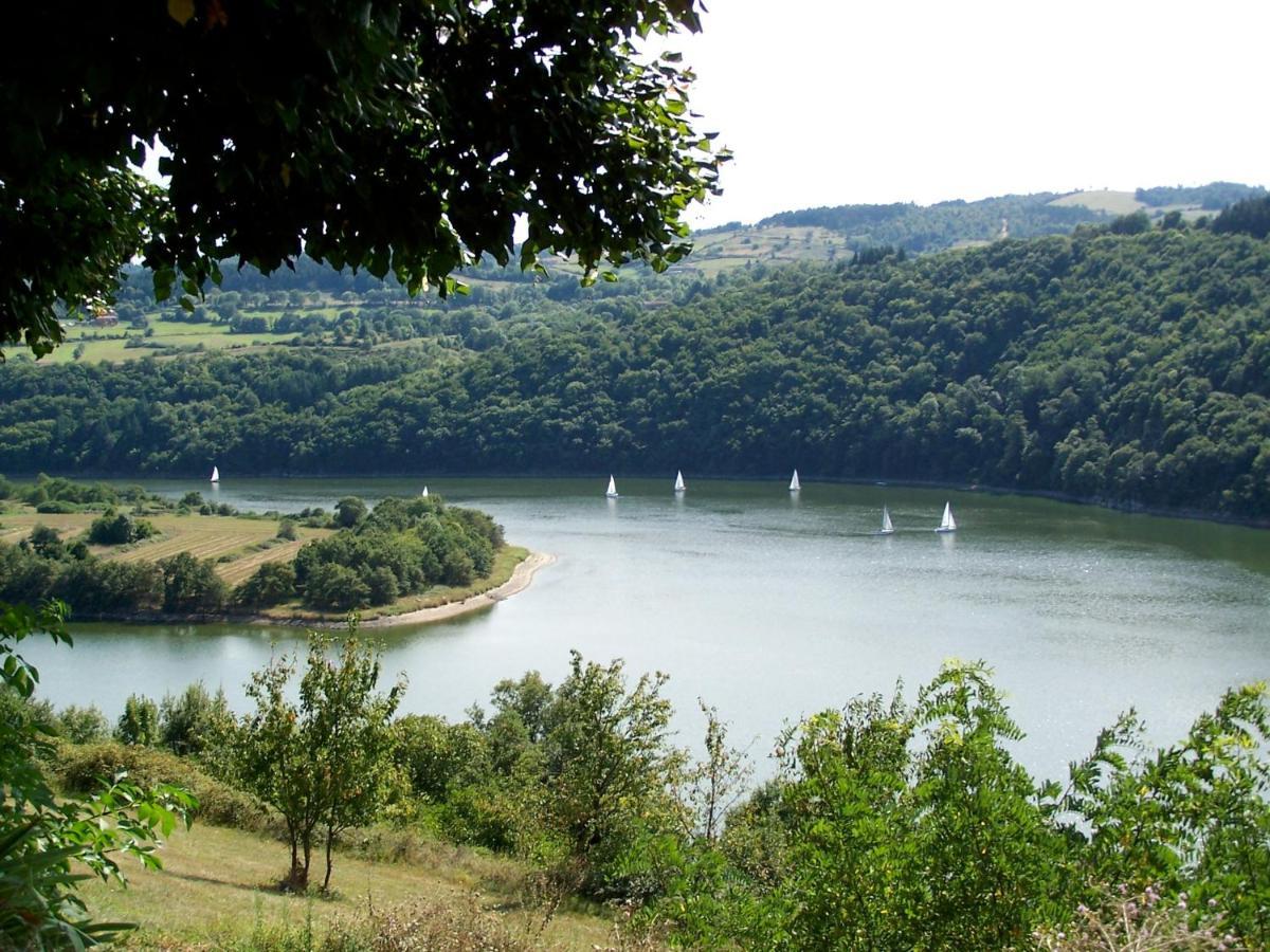 O Fil De L'Eau - Gite En Bord De Lac Saint-Jean-Saint-Maurice-sur-Loire Esterno foto