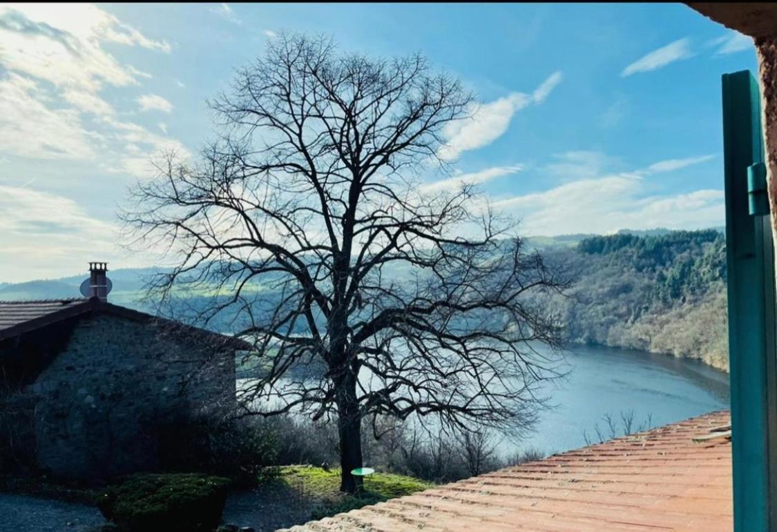 O Fil De L'Eau - Gite En Bord De Lac Saint-Jean-Saint-Maurice-sur-Loire Esterno foto